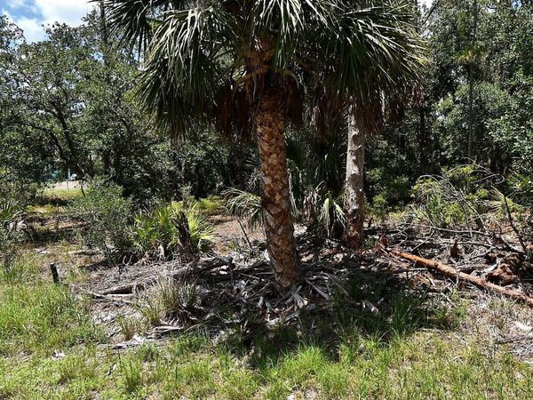 HAWKSBILL AVENUE , NORTH PORT, FL 34291