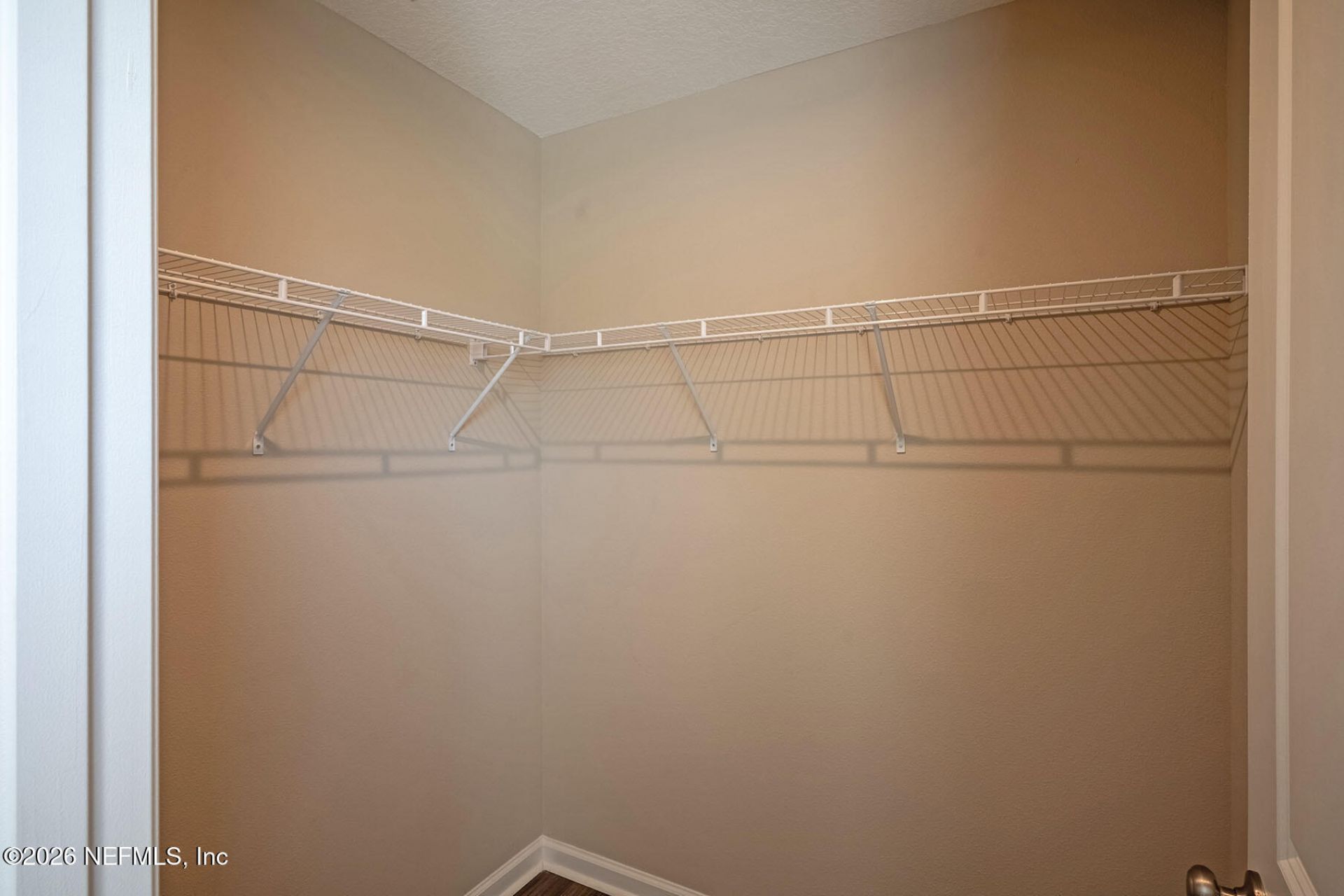 10972 Helmsdale Lane, Jacksonville, FL 32221 Photo