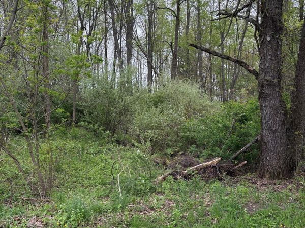 W Quimby Road, Hastings, MI 49058