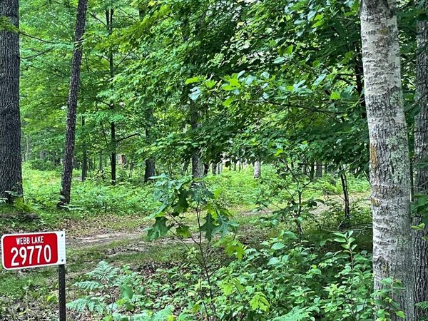 29770 Little Bear Drive, Danbury, WI 54830