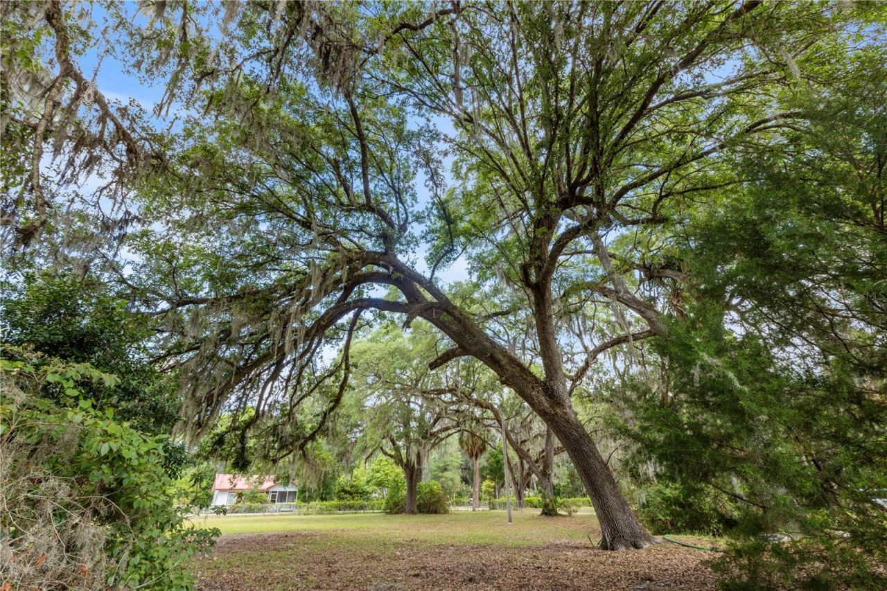 155 Roddy Road , Palatka, FL 32177 Photo