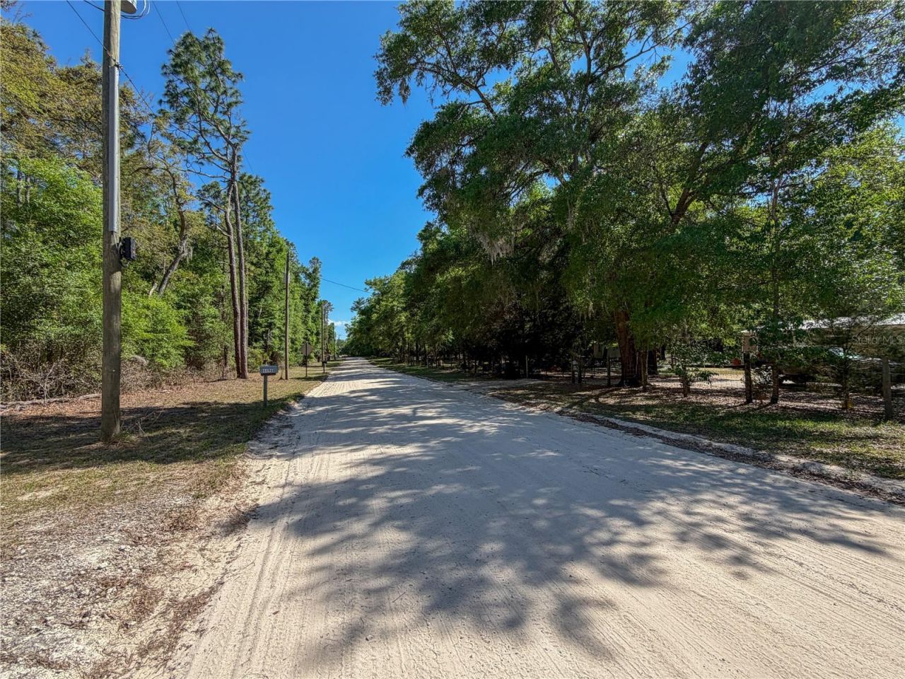 4497 NE 142nd Avenue, Williston, FL 32696 Photo