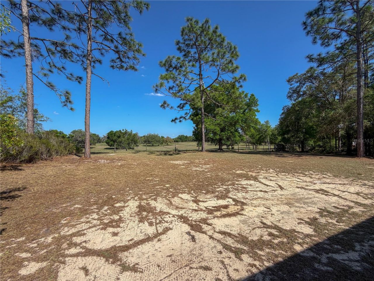 4497 NE 142nd Avenue, Williston, FL 32696 Photo