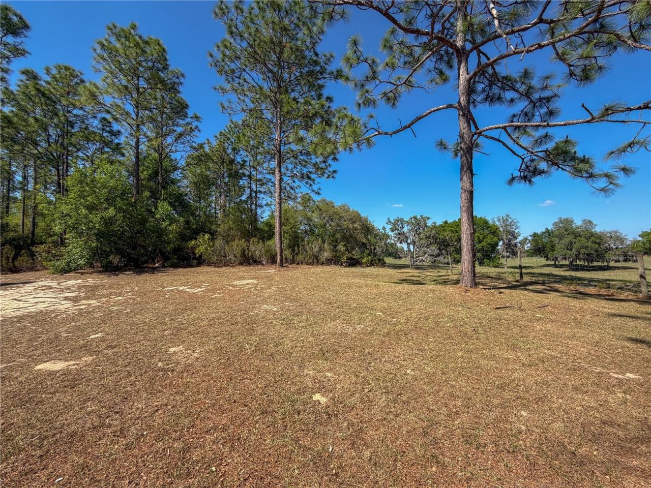 4497 NE 142nd Avenue, Williston, FL 32696 Photo