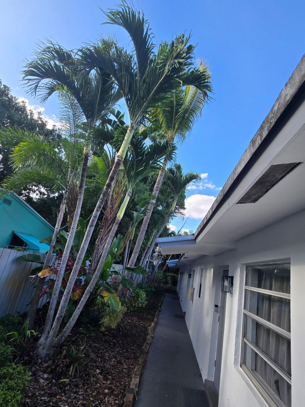 1111 SW 2nd Street, Fort Lauderdale, FL 33312 Photo