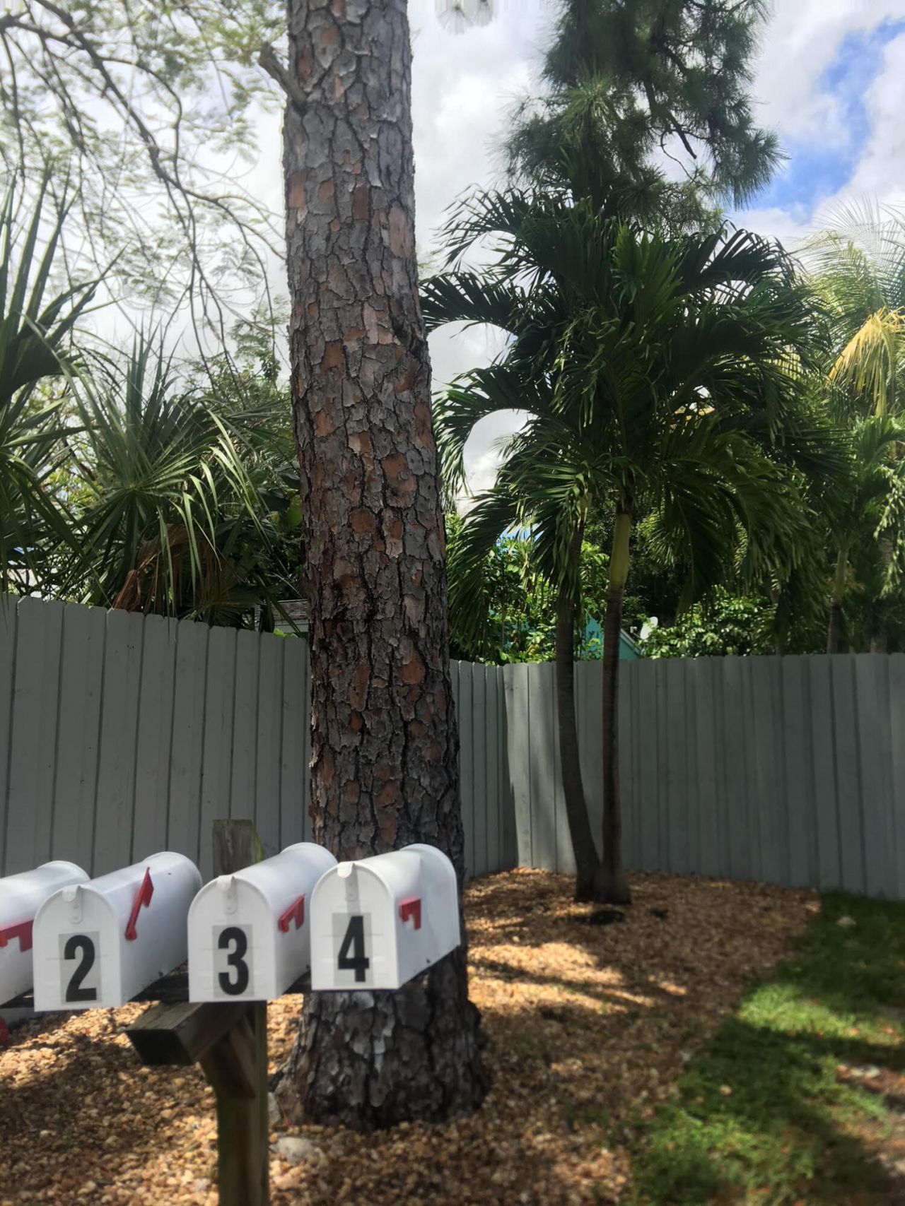 1111 SW 2nd Street, Fort Lauderdale, FL 33312 Photo