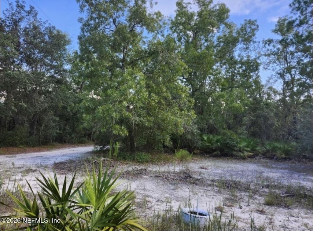240 Lakeway Drive, Georgetown, FL 32139 Photo