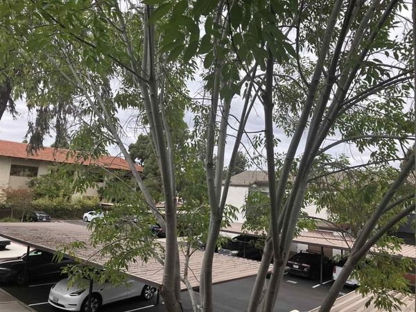 1361 Caminito Gabaldon, Unit D, San Diego, CA 92108