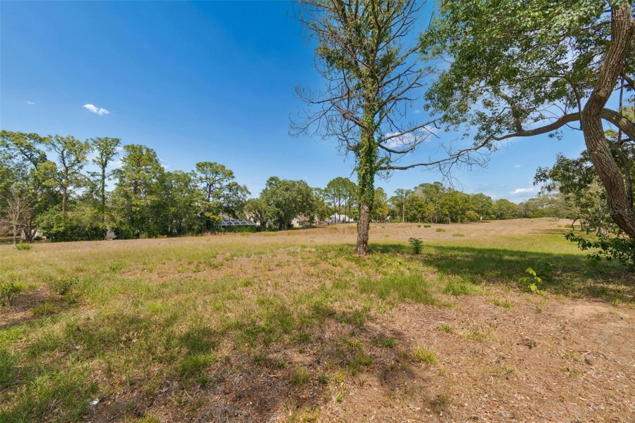 10491 Casa Grande Circle, Spring Hill, FL 34608 Photo