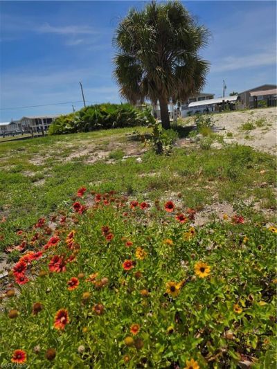 3063 York Rd, Saint James City, FL 33956 Photo