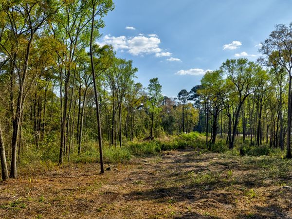 2502 Staley Avenue, Savannah, GA 31405