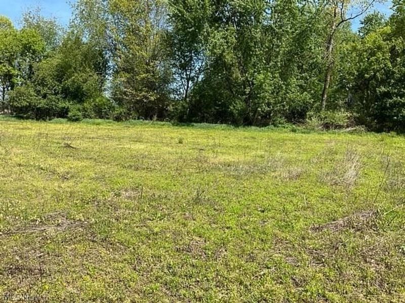 Hess Mill RD, Bolivar, OH 44612 Photo 19