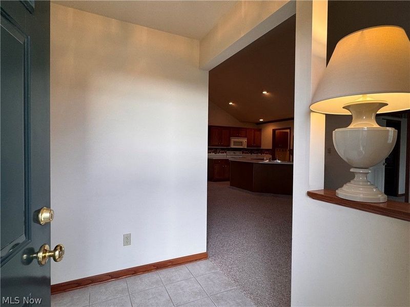 216 Village Court, Columbiana, OH 44408 Photo 14