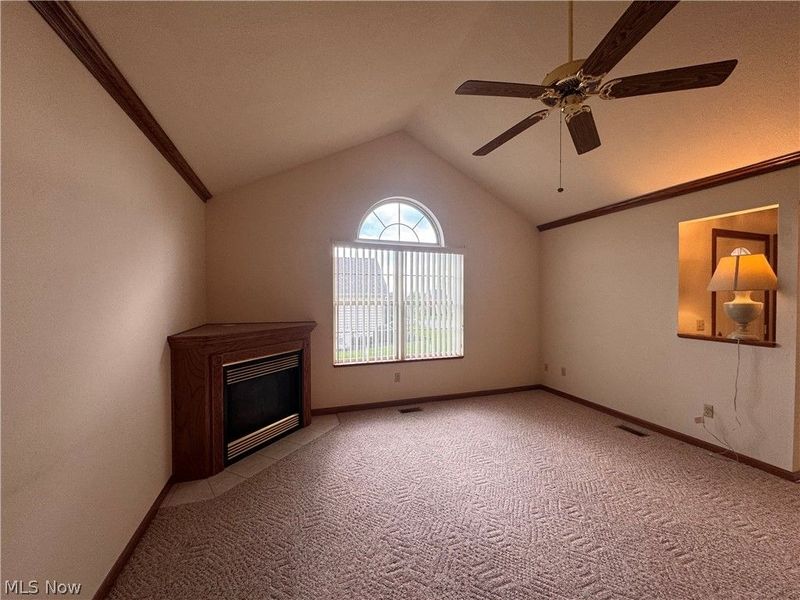 216 Village Court, Columbiana, OH 44408 Photo 9