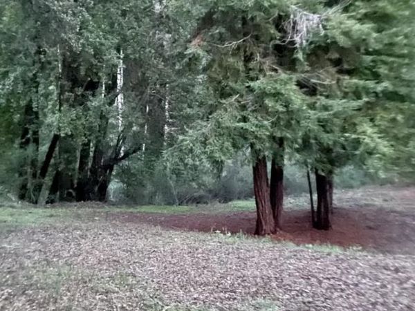 0 Long Branch Road, Los Gatos, CA 95033