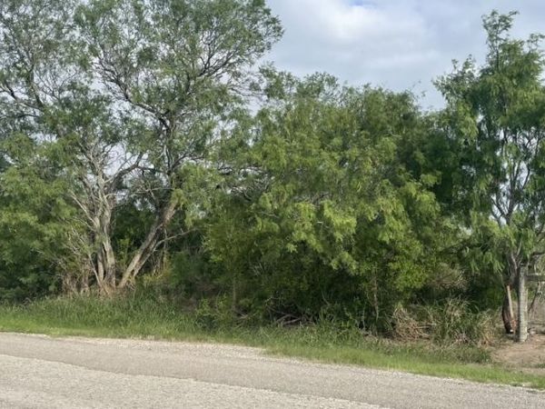 00 CR 613, Skidmore, TX 78389
