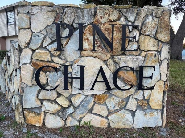 2031 PINE CHACE COURT , TAMPA, FL 33613