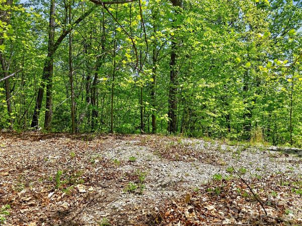0 Bobcat Drive , Old Fort, NC 28762