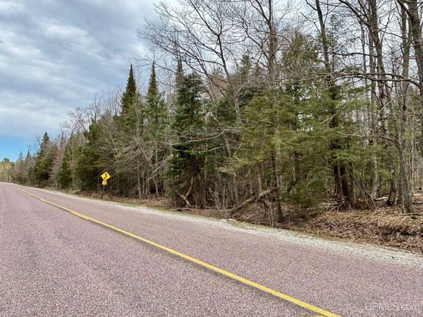 TBD N Carlshend Road, Skandia Twp, MI 49885