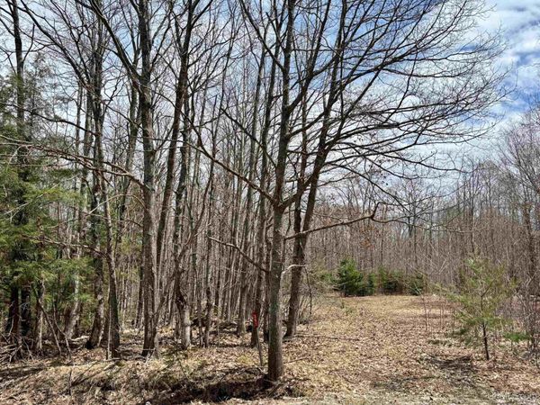391 N Carlshend Road, Skandia Twp, MI 49885