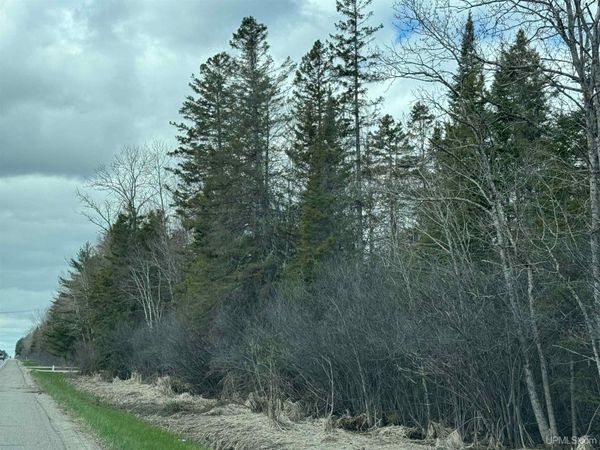 TBD US 2 Highway, Wells Twp, MI 49829