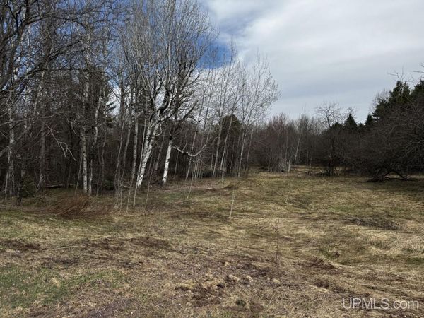 TBD Off M38 Highway, Ontonagon Twp, MI 49953