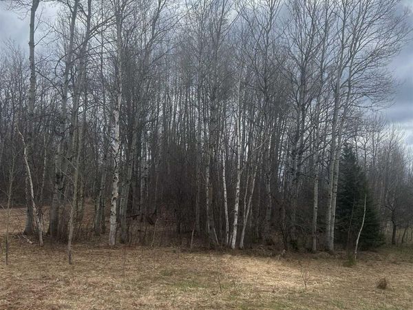 TBD 10-1 Mill Pond Road, Interior Twp, MI 49967
