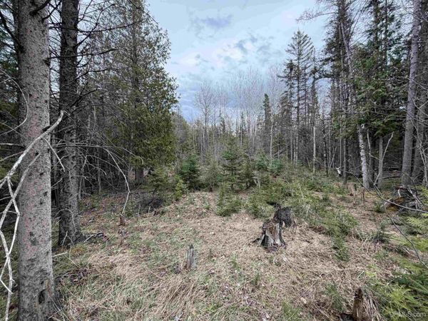 TBD OLD US 41 Road, Mathias Twp, MI 49891
