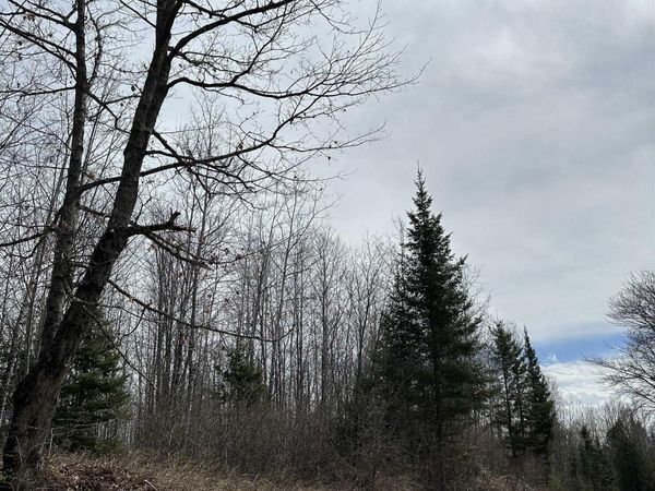 TBD Net River Road, Hematite Twp, MI 49920