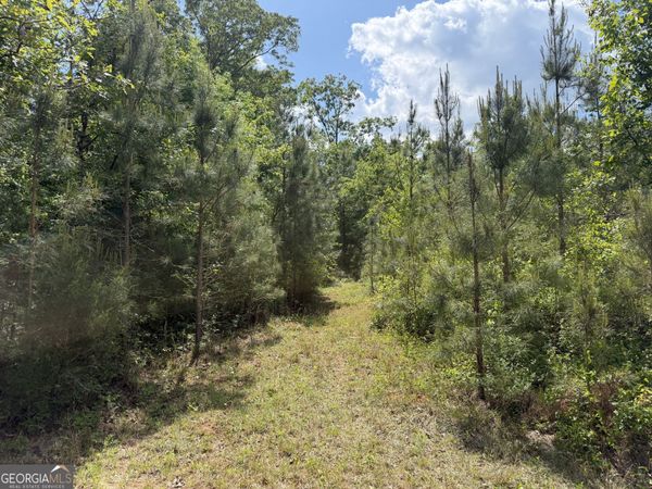 008 George Milling Road, Cuthbert, GA 39840