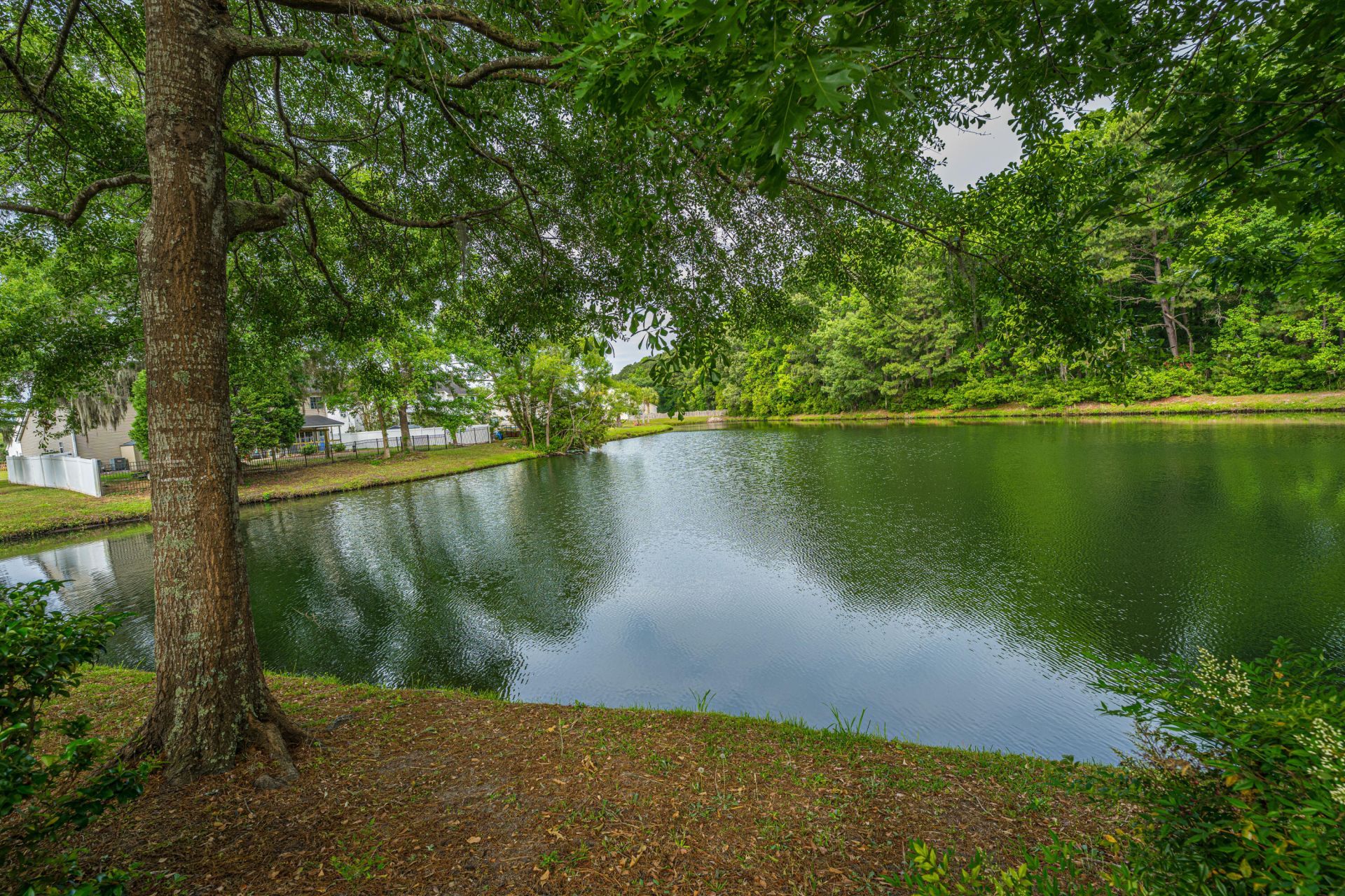 3442 Forest Glen Drive Photo 56