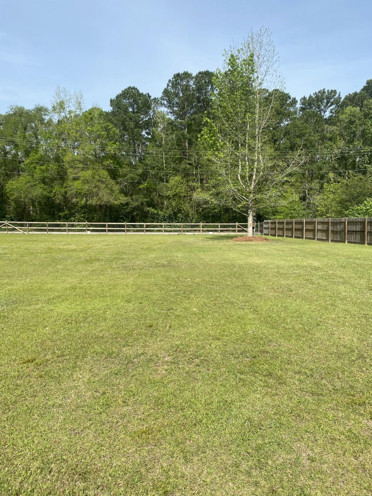 251 Judith Drive Photo 6