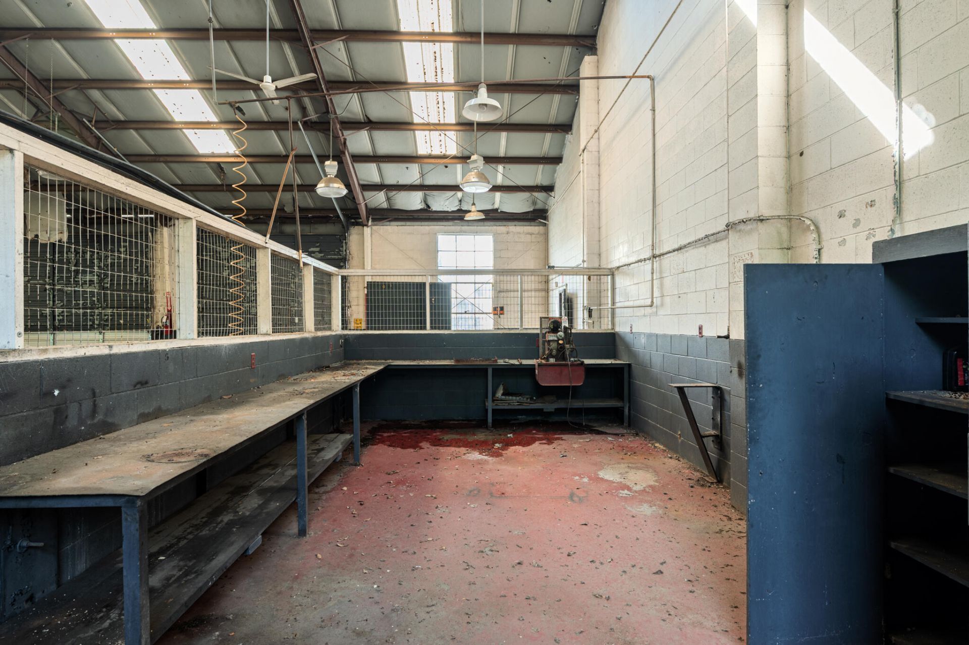 565 State Road S-6-459 Photo 13