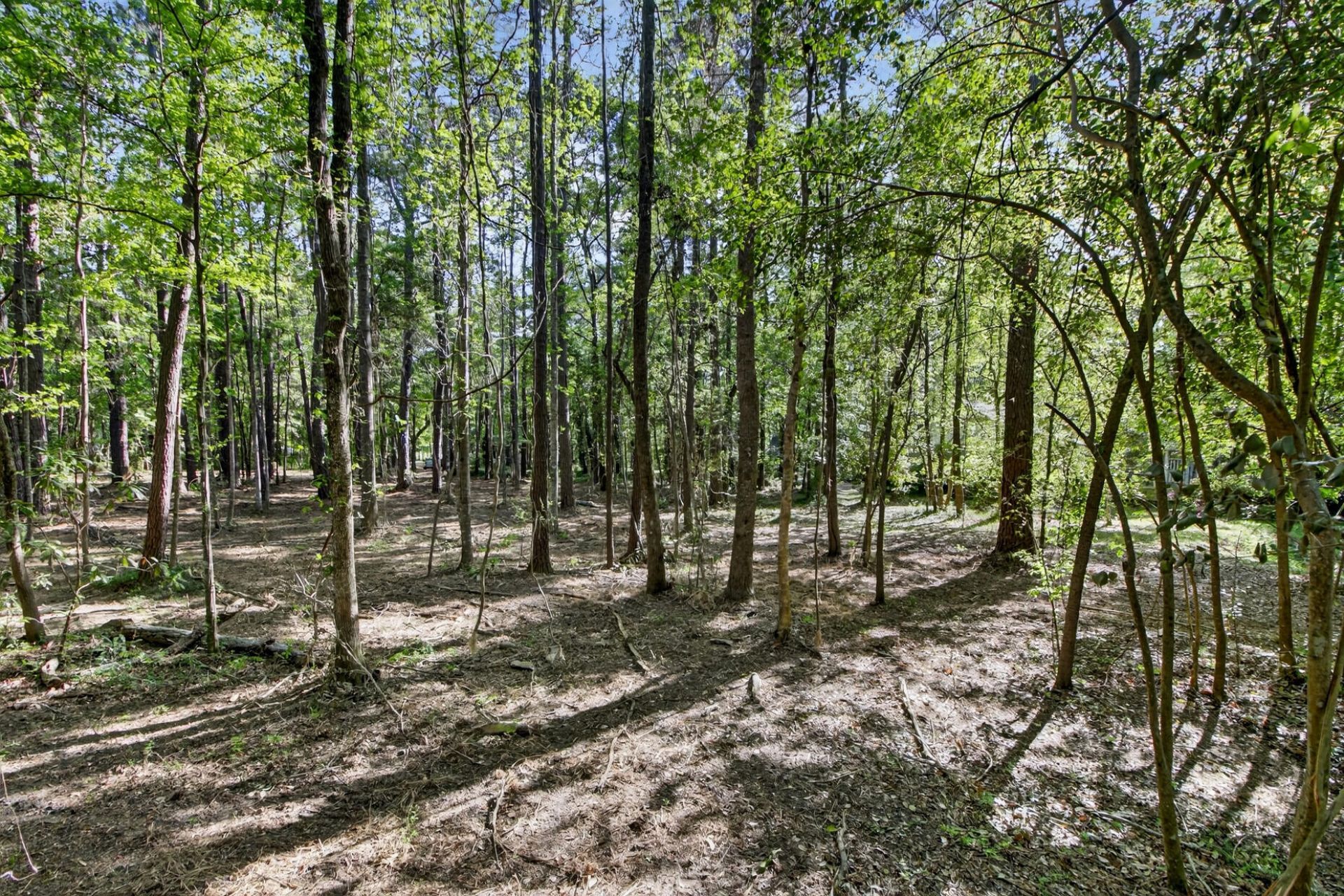 124 Marvin Gardens  Photo 10