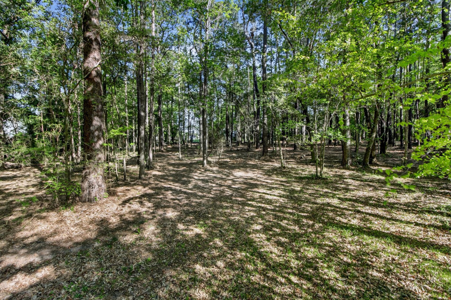 124 Marvin Gardens  Photo 11