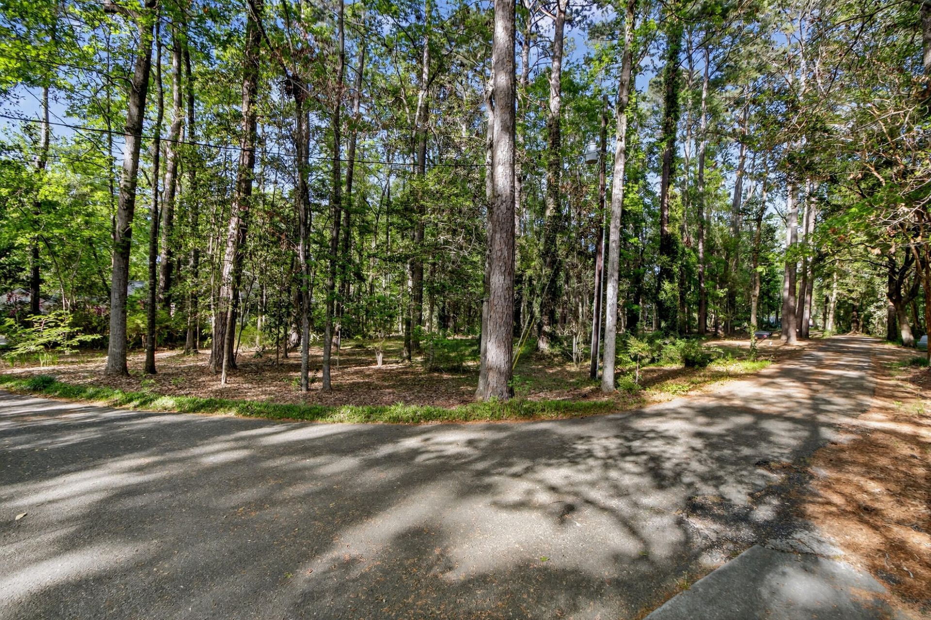 124 Marvin Gardens  Photo 18
