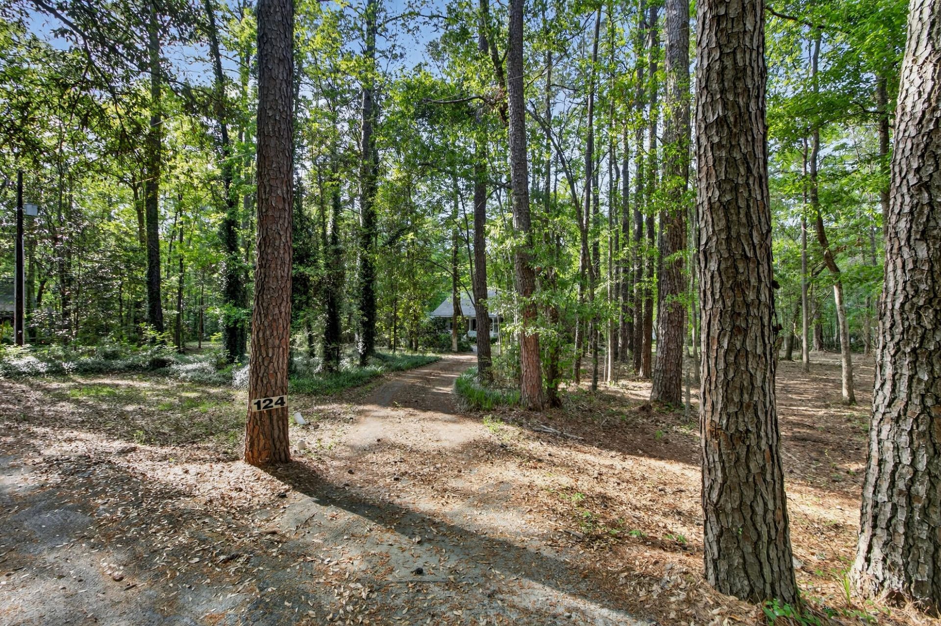 124 Marvin Gardens  Photo 20
