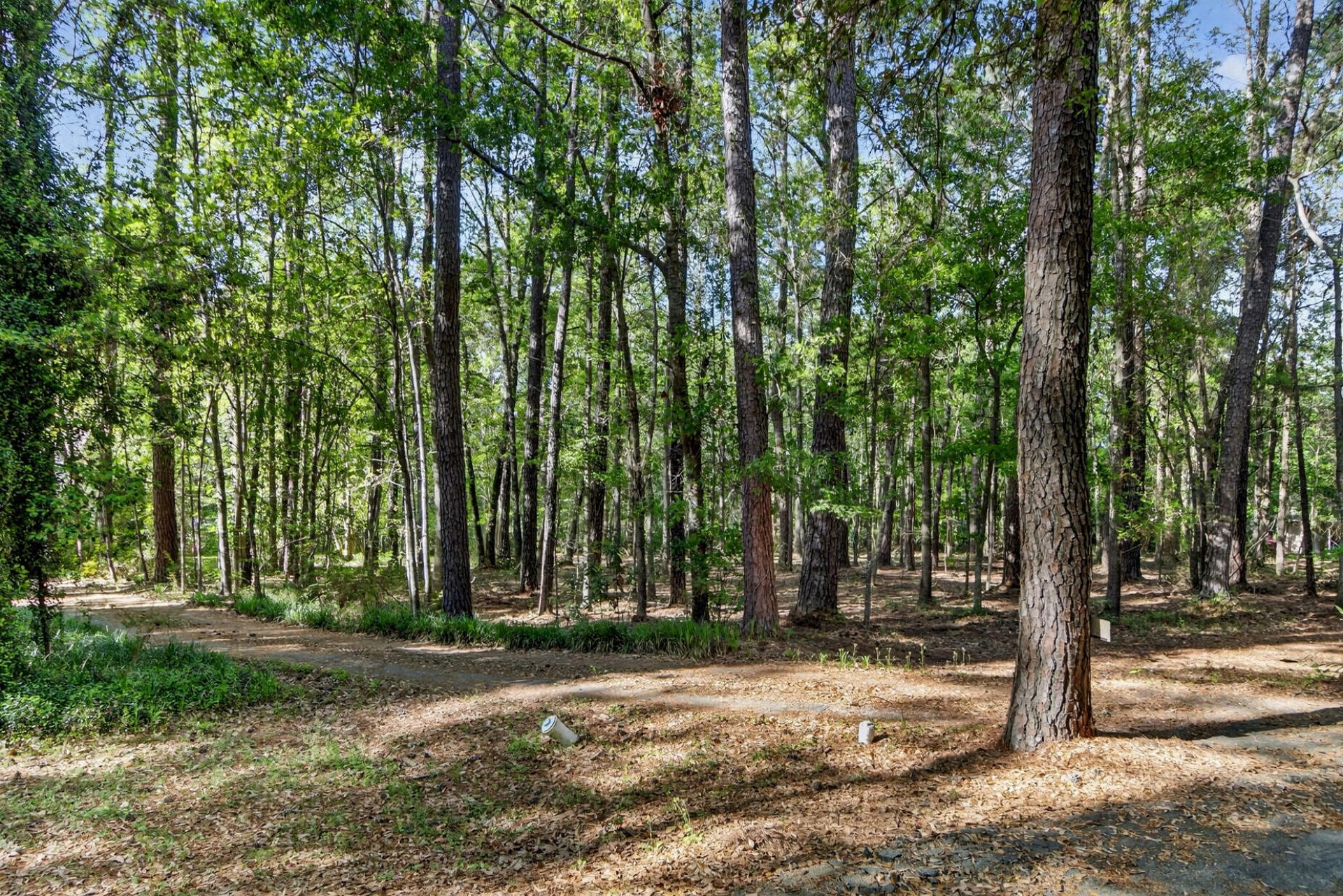 124 Marvin Gardens  Photo 21