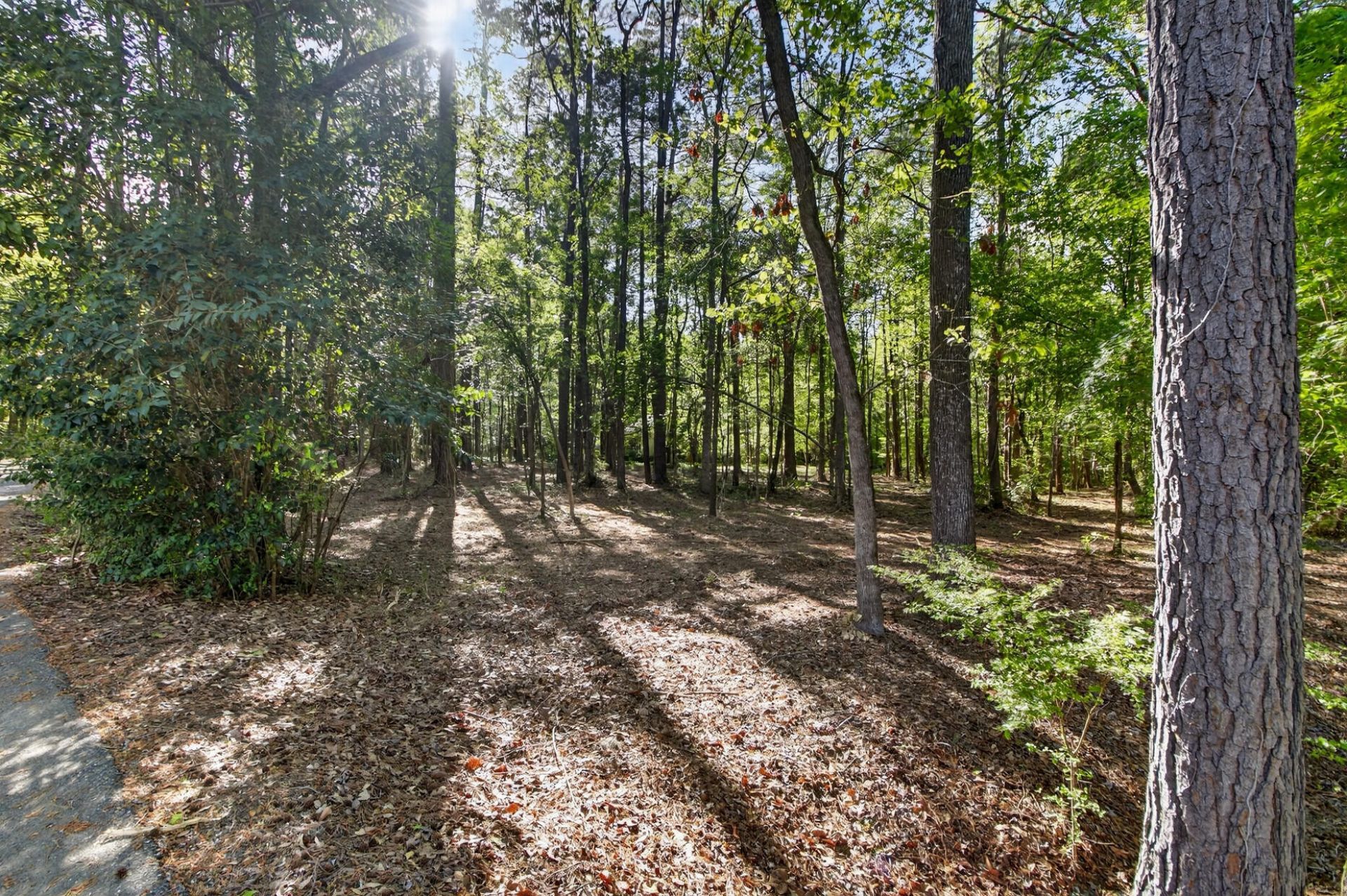 124 Marvin Gardens  Photo 23