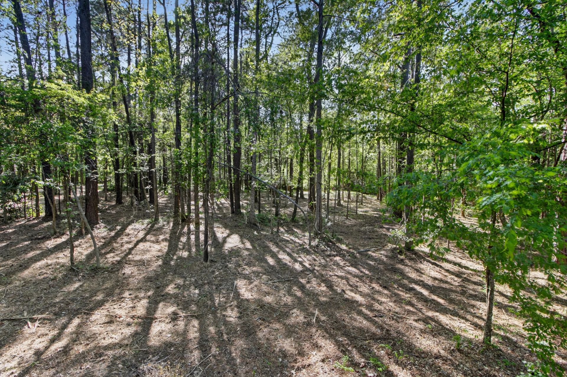 124 Marvin Gardens  Photo 8