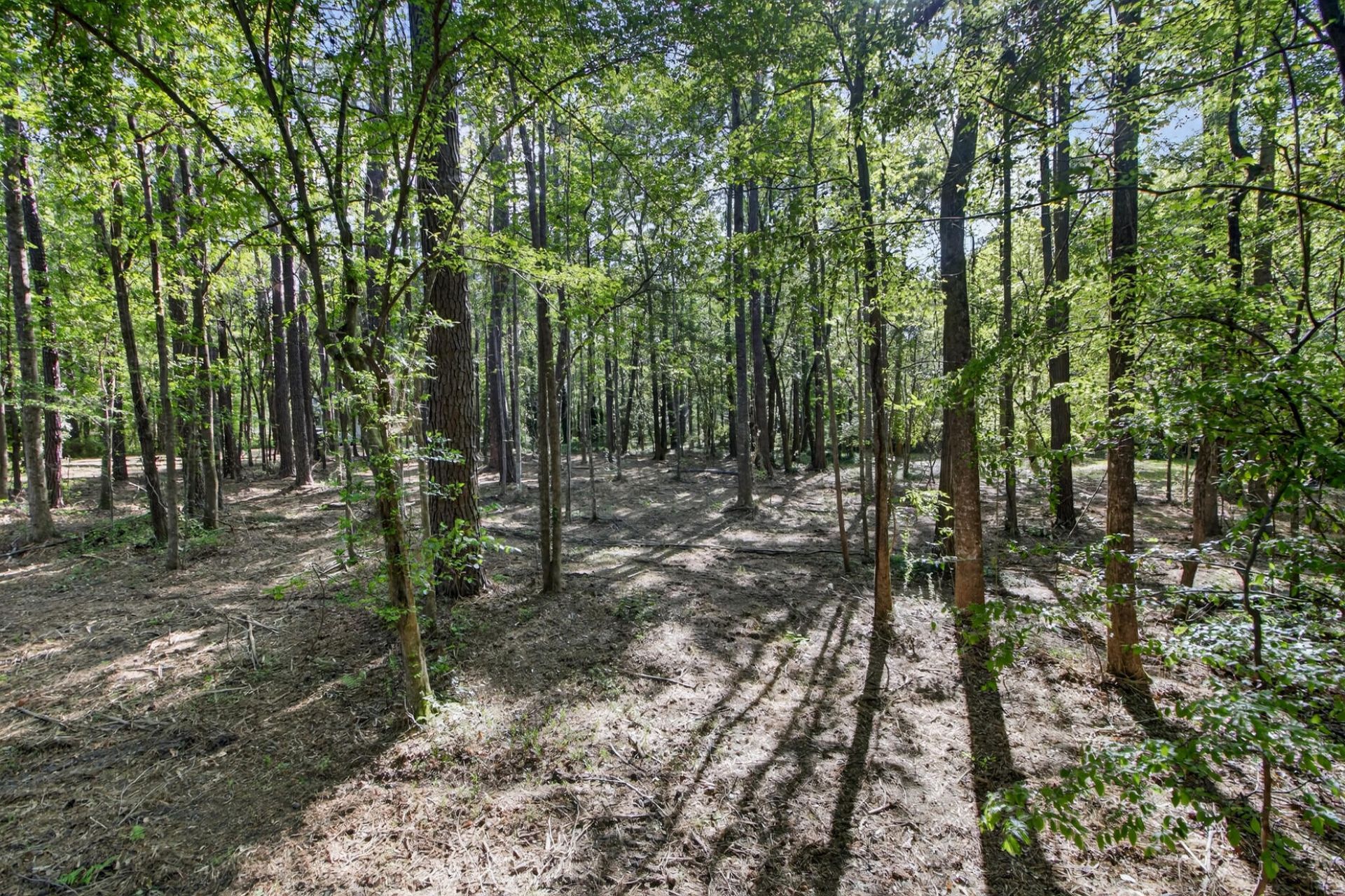 124 Marvin Gardens  Photo 9