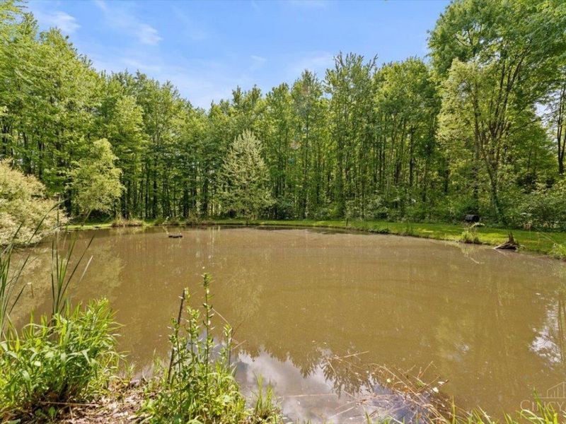 5040 St Rt 276, Stonelick Twp, OH 45103 Photo 35