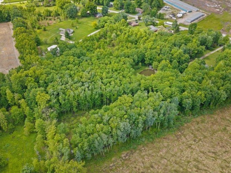 5040 St Rt 276, Stonelick Twp, OH 45103 Photo 46