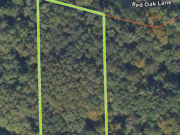 TBD Red Oak Lane , Motley, MN 56466