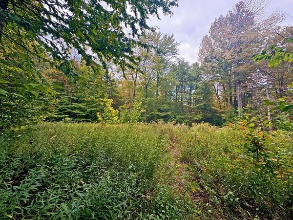60 Stone Hill Road, Rowe, MA 01367