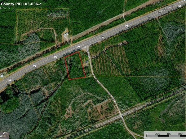 4.62 ACRES Valdosta Highway, Manor, GA 31550