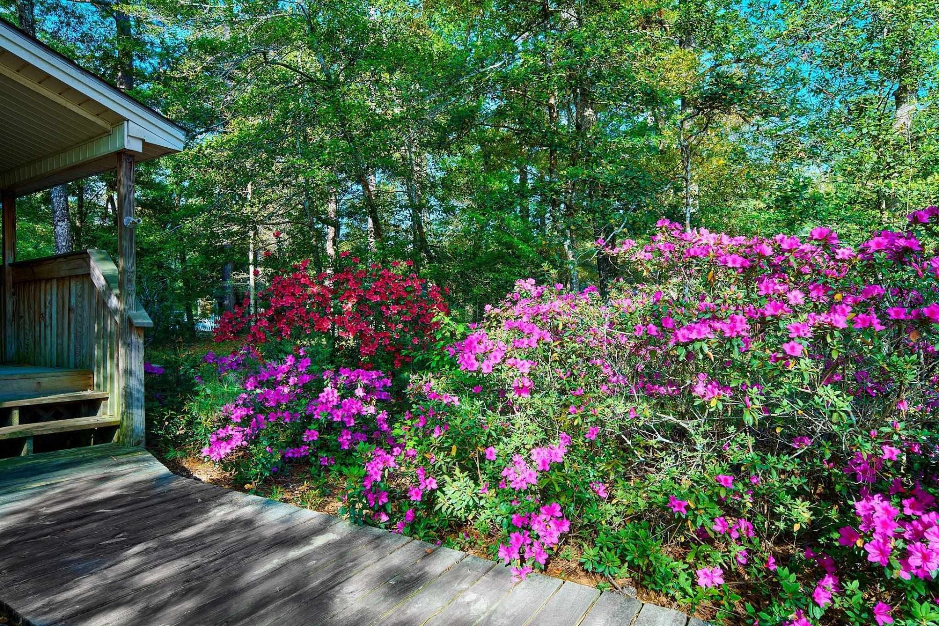 2228 Vereen Circle  Photo 4