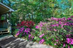 2228 Vereen Circle  photo 4