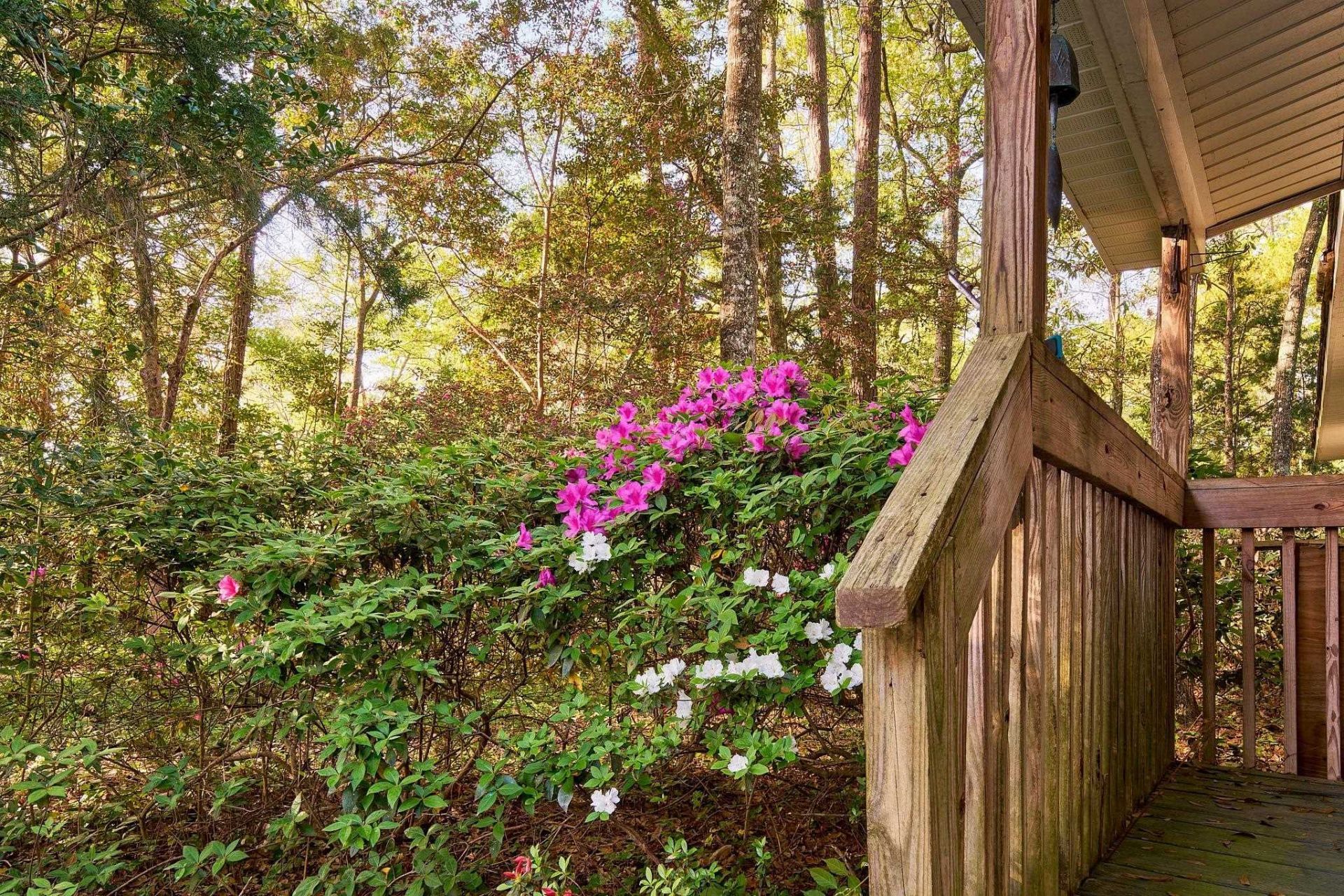 2228 Vereen Circle  Photo 5
