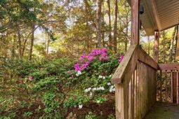 2228 Vereen Circle  photo 4